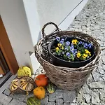 Marie Alber Appartement Nová Bystřice