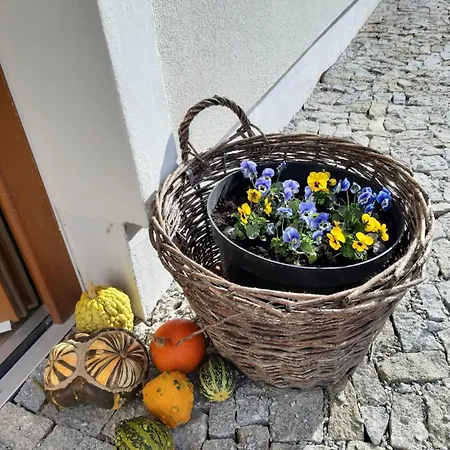 Marie Alber Apartment Nova Bystrice
